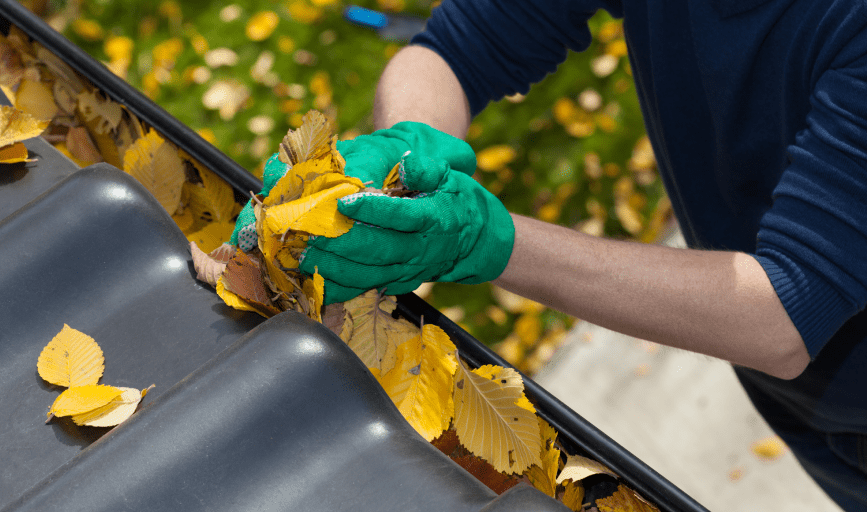 Grime Reaper Elite Exterior Services